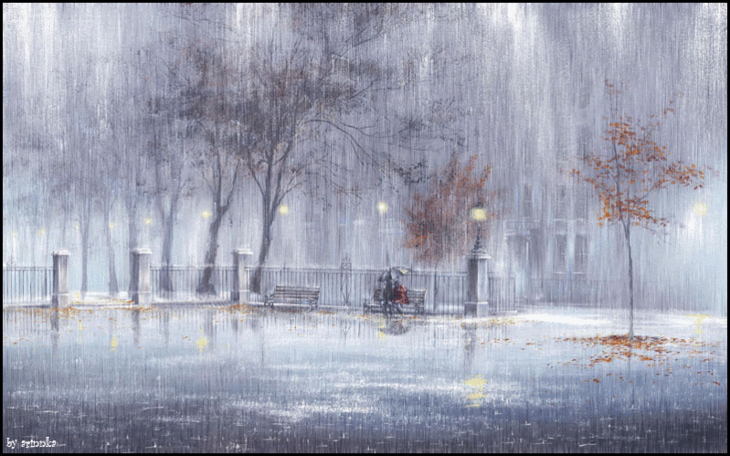 rain washing